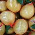 Chinois exportant le pomelo de miel frais standard